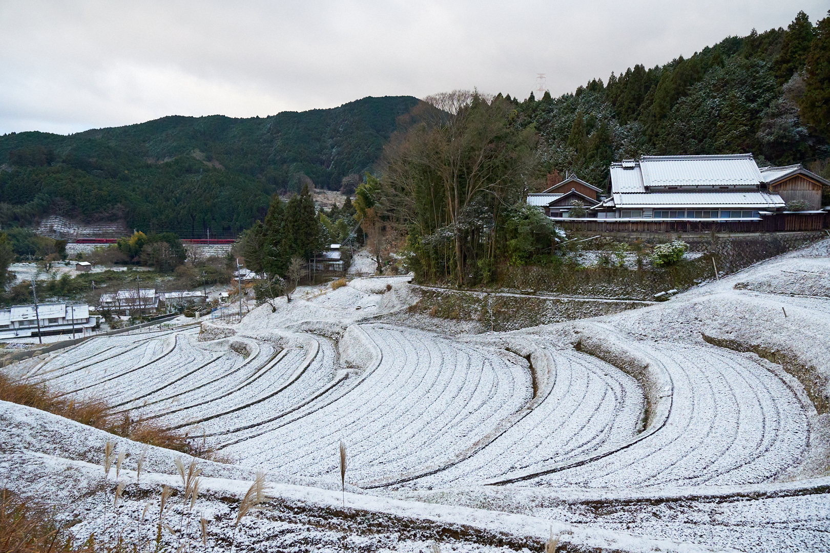 https://www.yaotomi.co.jp/blog/walk/DSC00157%2CCO.jpg