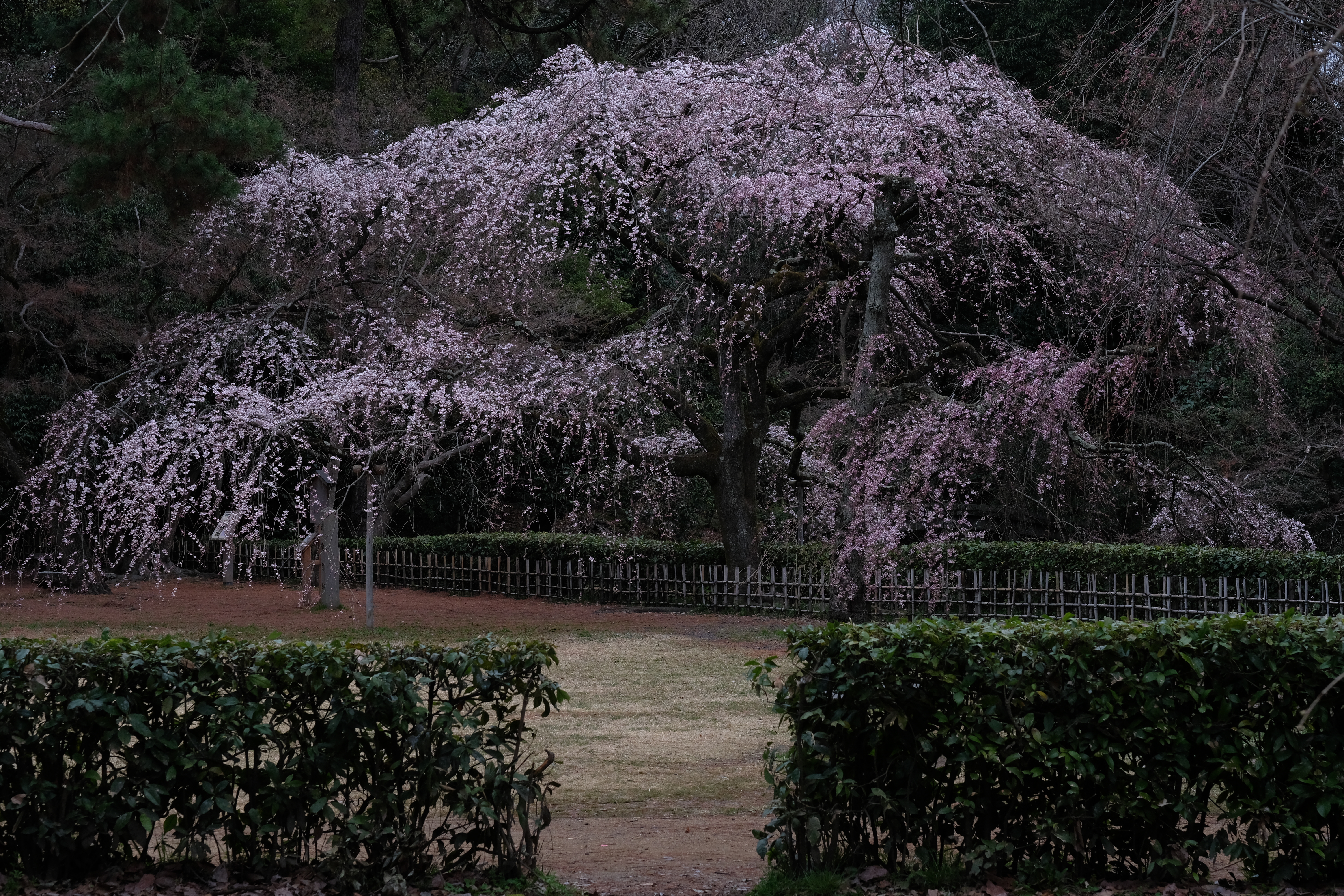 https://www.yaotomi.co.jp/blog/walk/DSCF0430%28PROVIA%29.jpg