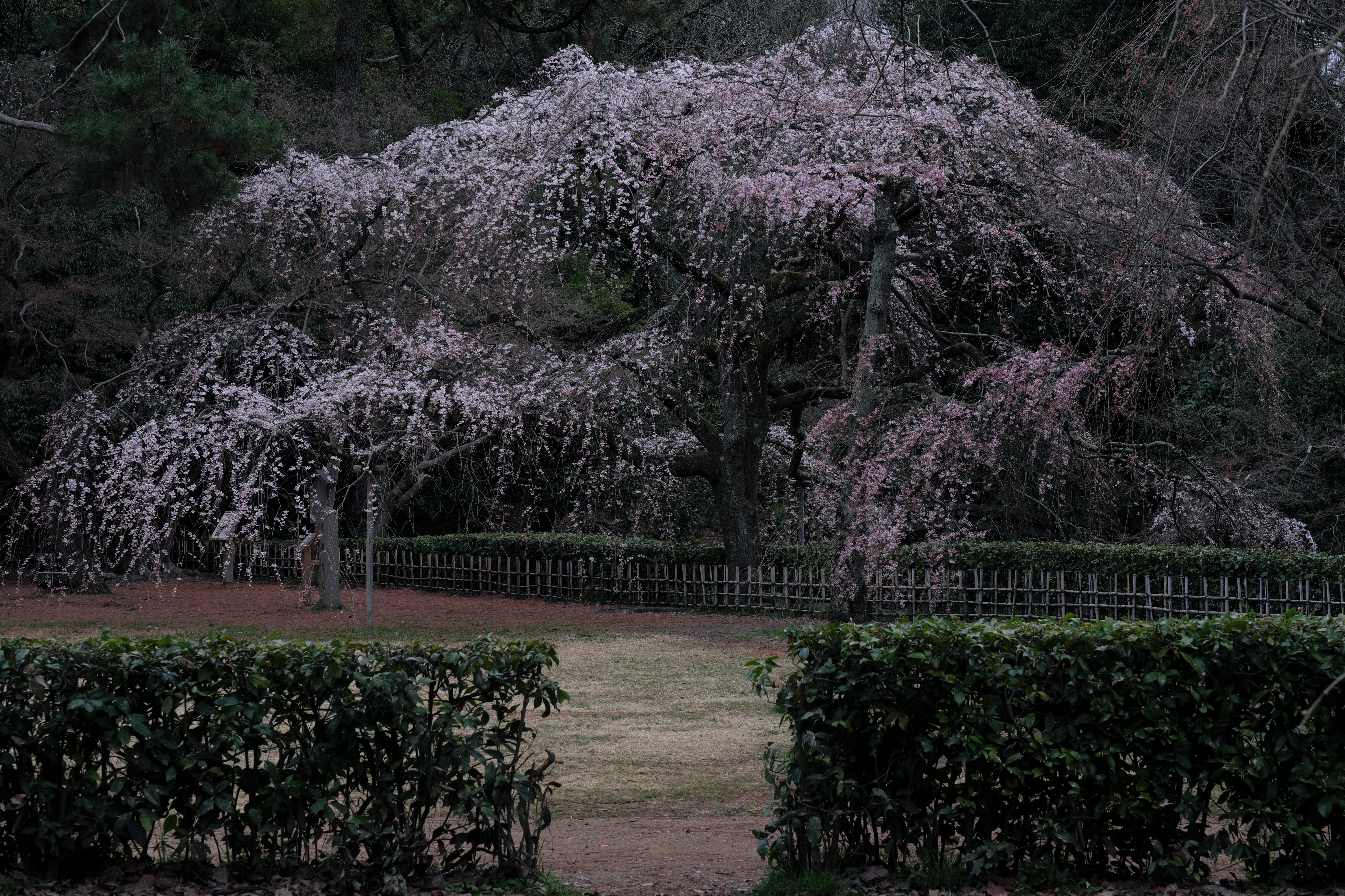 https://www.yaotomi.co.jp/blog/walk/DSCF0430%2CEX20%28PROVIA%29_.jpg