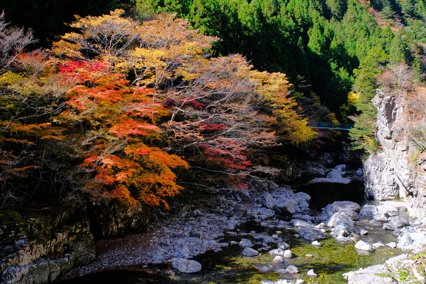 https://www.yaotomi.co.jp/blog/walk/DSCF0628%2C25%20mm%2CF8%2Ciso320%28JPEG%29.jpg