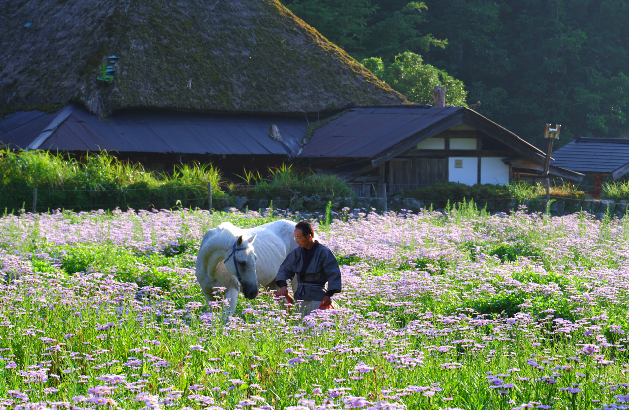 https://www.yaotomi.co.jp/blog/walk/DSCF2253%2CEX20%2880mm%2CF7%2C1iso200%29_80%20mm%28F7.1%29iso200_2018yaotomi.jpg