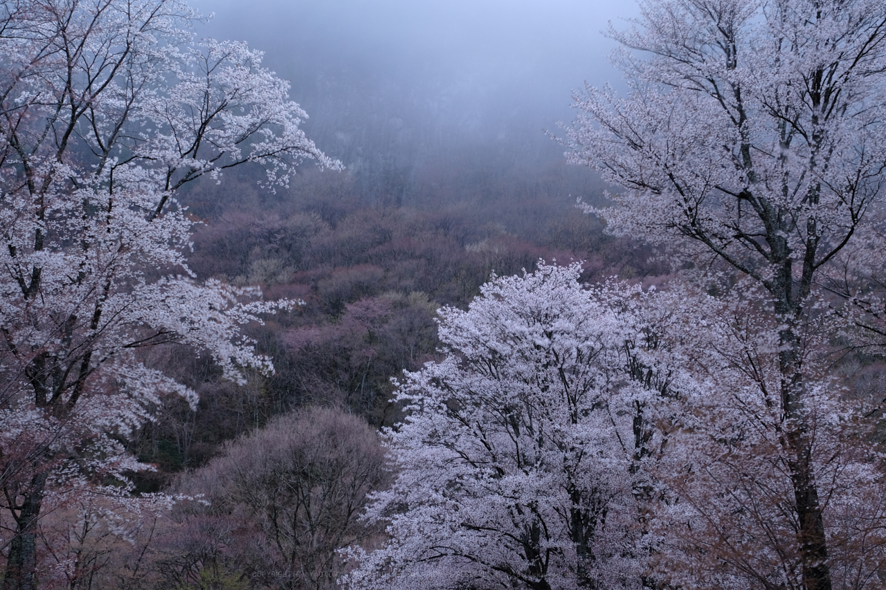 https://www.yaotomi.co.jp/blog/walk/DSCF3008_32%20mm_F8_2018yaotomi.jpg