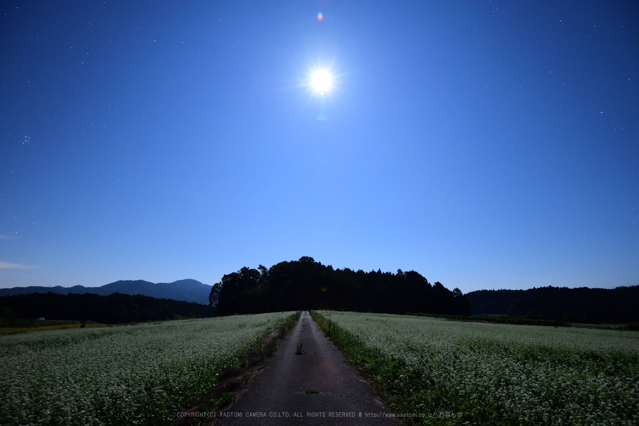 https://www.yaotomi.co.jp/blog/walk/DSC_0026NX-D_01%2C16%20mm_2017%2817-09-08%29yaotomi.jpg