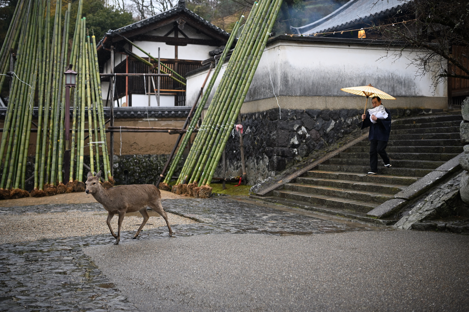 https://www.yaotomi.co.jp/blog/walk/DSC_0064_NDX_2020yaotomi.jpg