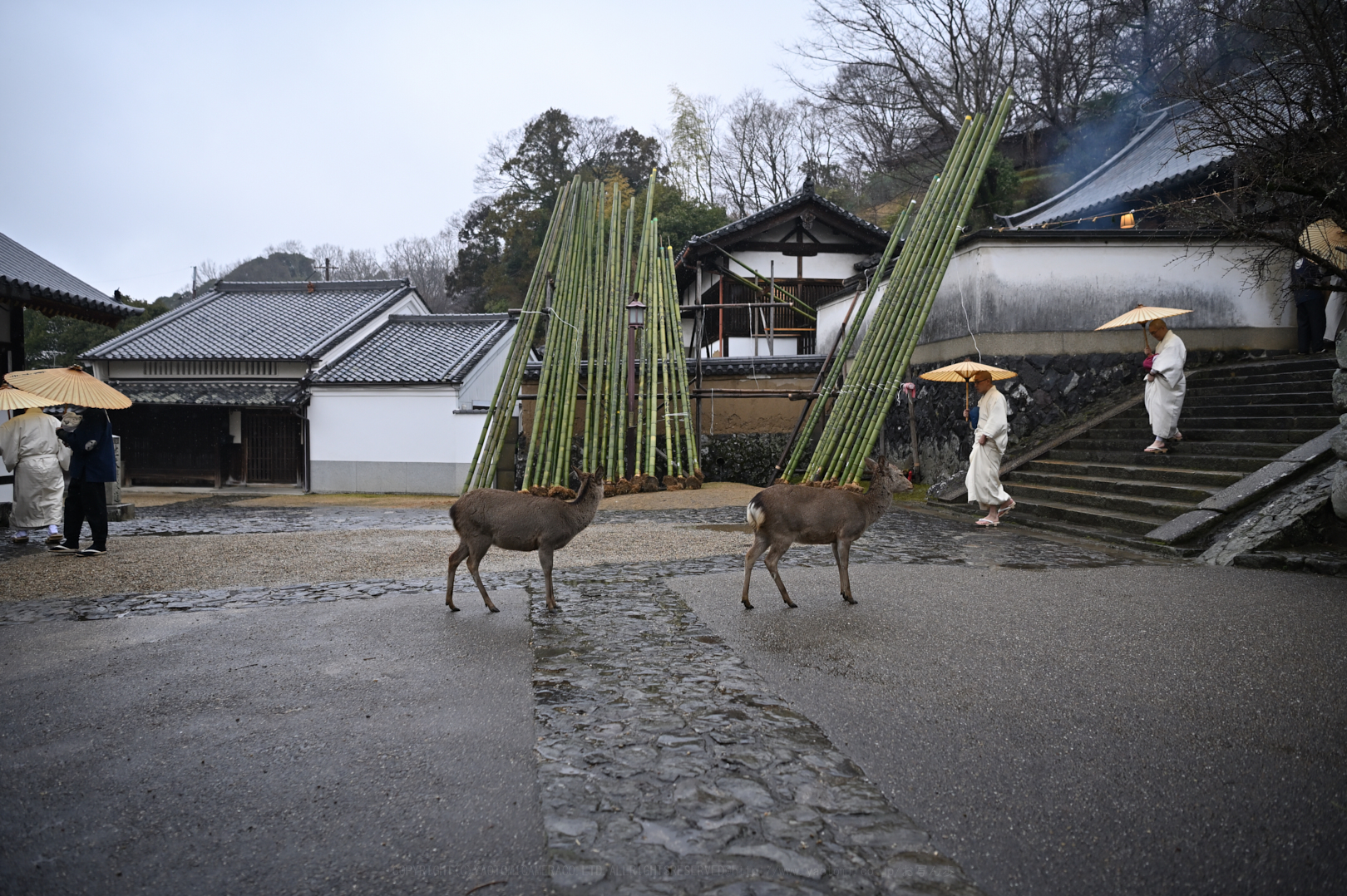 https://www.yaotomi.co.jp/blog/walk/DSC_0075_NDX_2020yaotomi.jpg