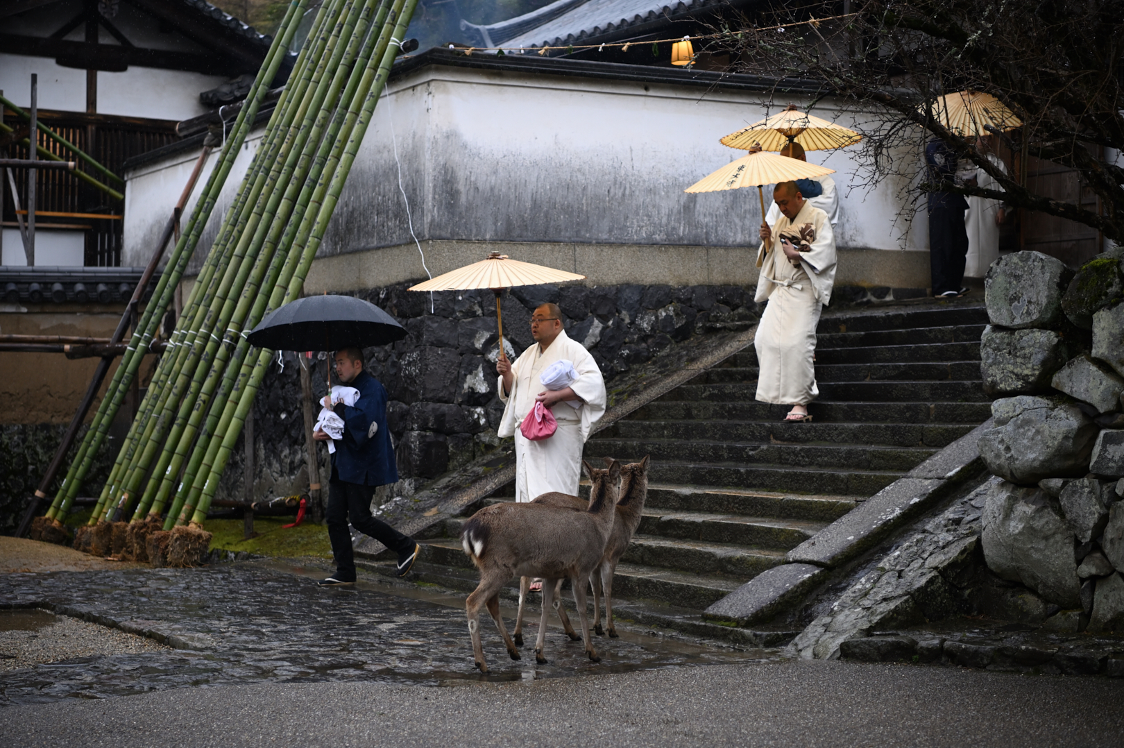 https://www.yaotomi.co.jp/blog/walk/DSC_0089_NDX_2020yaotomi.jpg