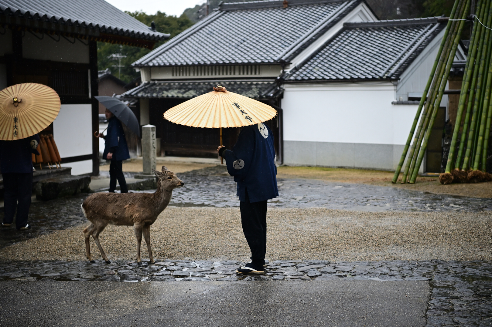 https://www.yaotomi.co.jp/blog/walk/DSC_0147_NDX_2020yaotomi.jpg