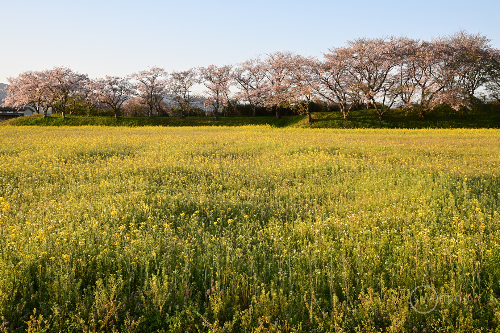 https://www.yaotomi.co.jp/blog/walk/DSC_0187%2C35%20mm%2CF11%2Ciso110%28JPEG%29.jpg