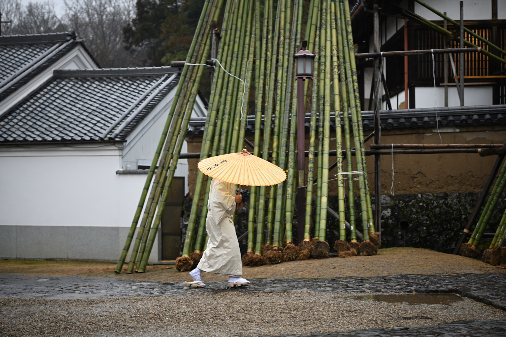 https://www.yaotomi.co.jp/blog/walk/DSC_0192_NDX_2020yaotomi.jpg