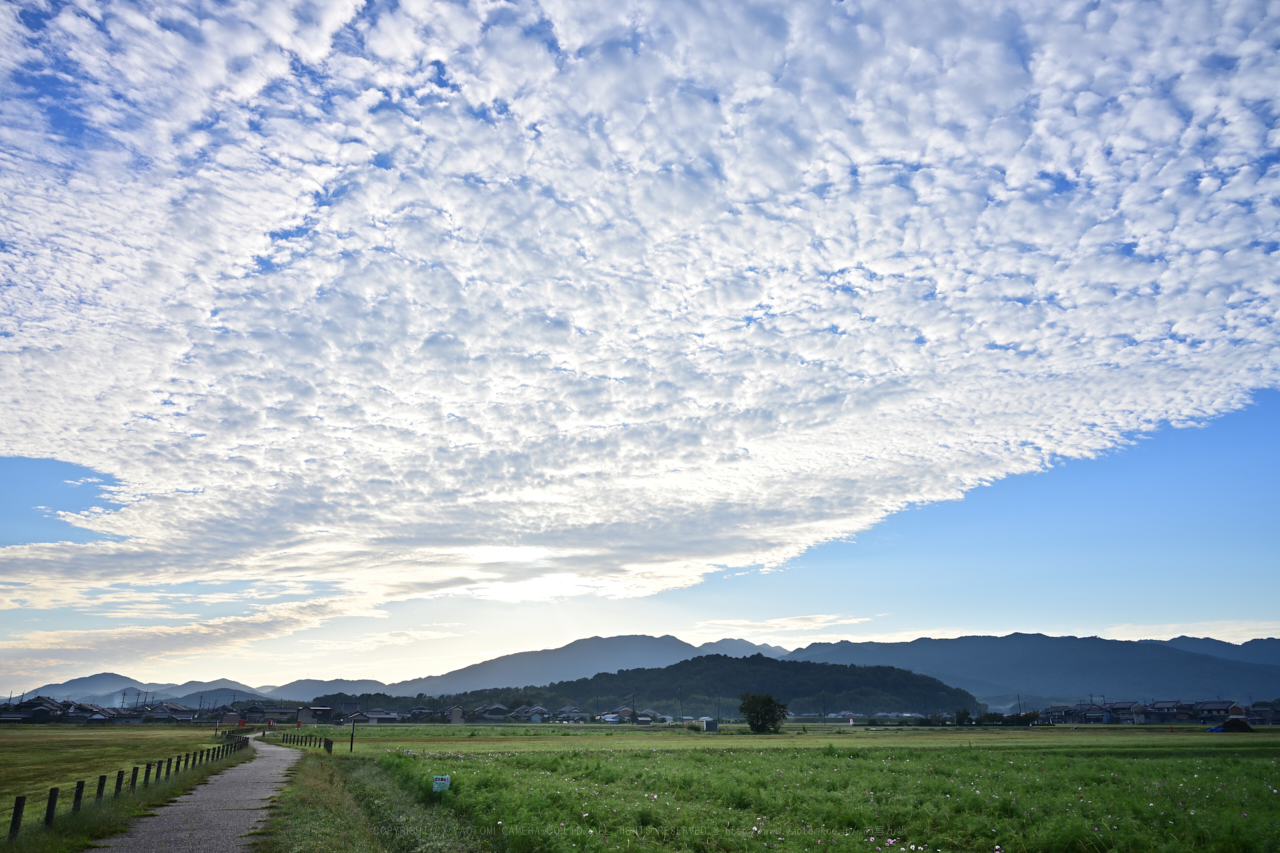 https://www.yaotomi.co.jp/blog/walk/DSC_0282NX-D_24%20mm%28F8%29iso100_2018yaotomi.jpg