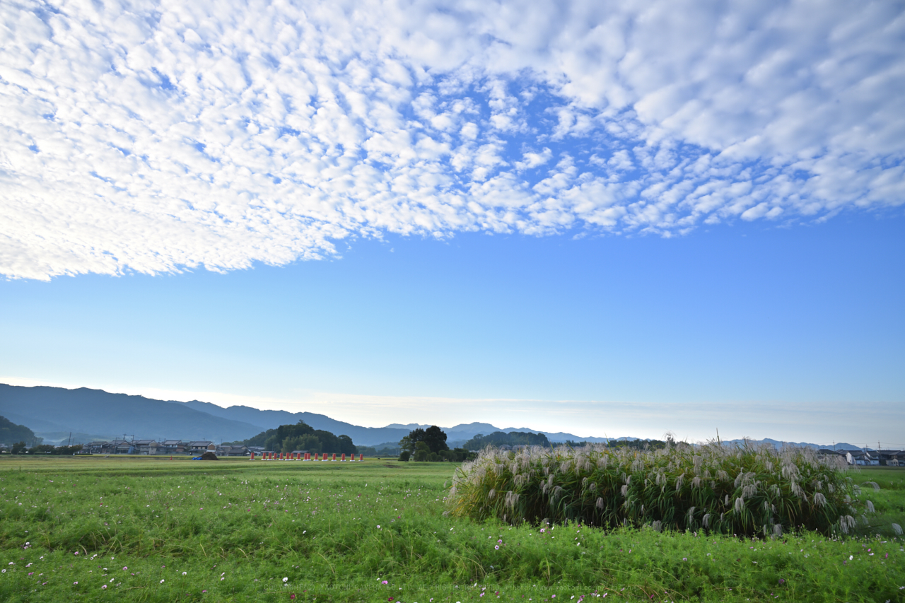 https://www.yaotomi.co.jp/blog/walk/DSC_0284NDX_24%20mm%28F8%29iso100_2018yaotomi.jpg