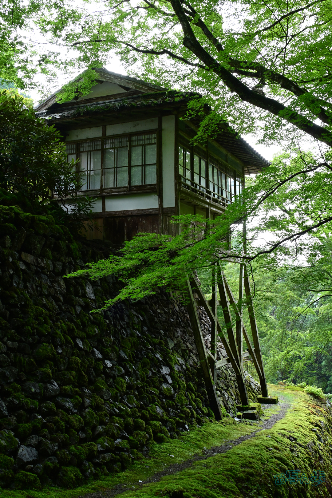 https://www.yaotomi.co.jp/blog/walk/DSC_0291%2C27%20mm%2CF11%2C1-20%20%E7%A7%92%2Ciso400%28JPEG%29.jpg