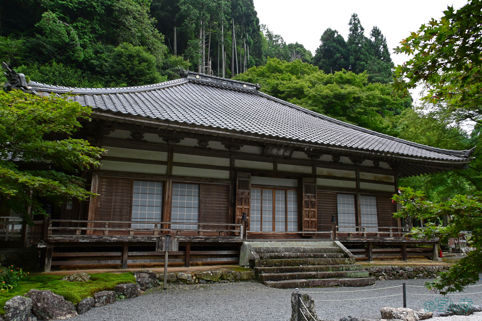 https://www.yaotomi.co.jp/blog/walk/DSC_0399%2C18%20mm%2CF9%2C1-320%20%E7%A7%92%2Ciso800%28JPEG%29.jpg