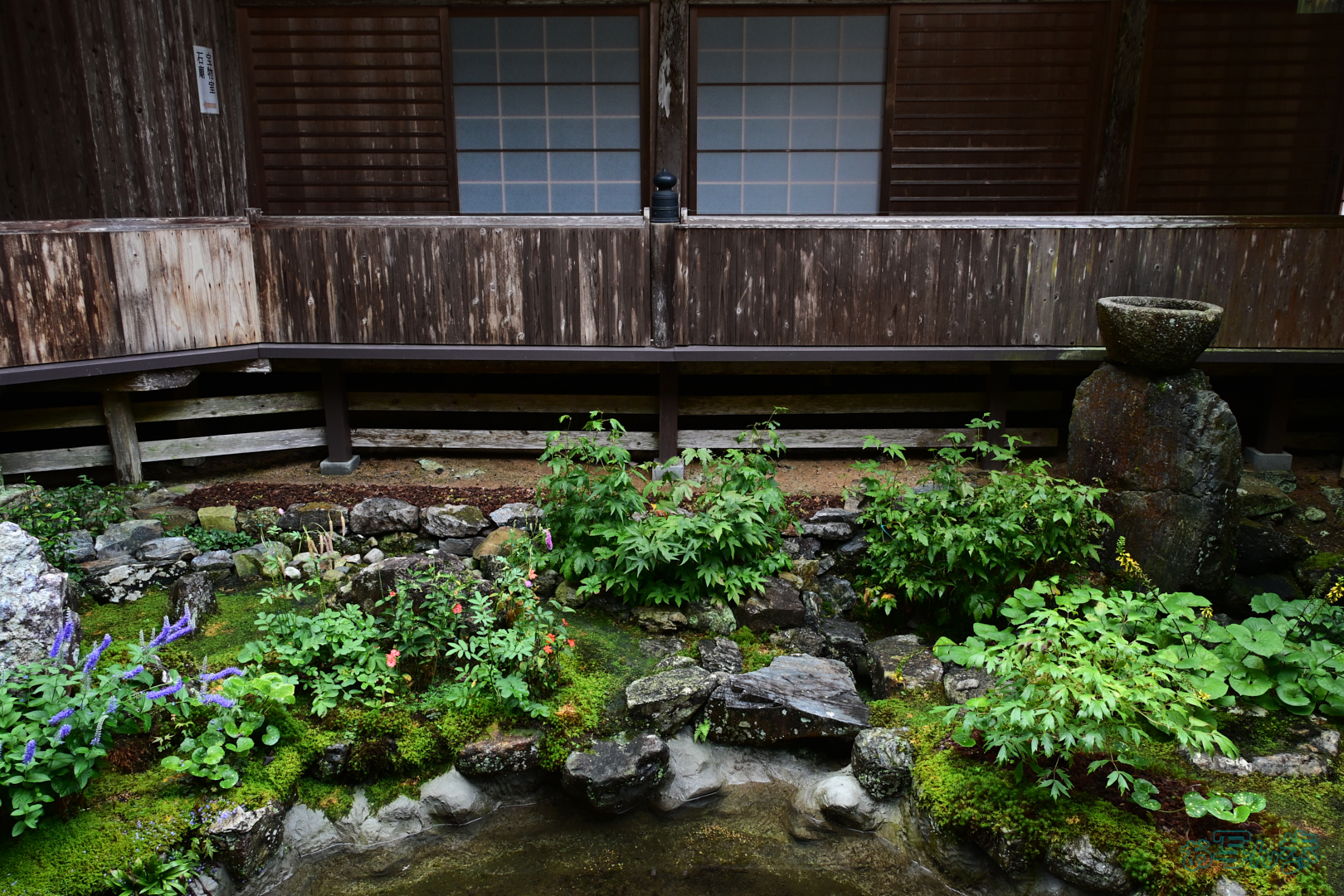https://www.yaotomi.co.jp/blog/walk/DSC_0454%2C18%20mm%2CF9%2C1-40%20%E7%A7%92%2Ciso400%28JPEG%29.jpg