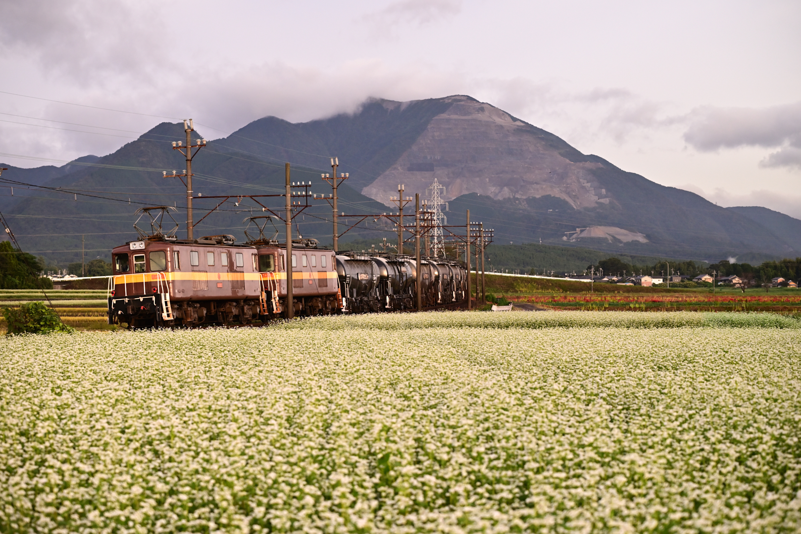 https://www.yaotomi.co.jp/blog/walk/DSC_0457_NDX%2CNIKON%20Z%205%2C82%20mm_2020yaotomi.jpg