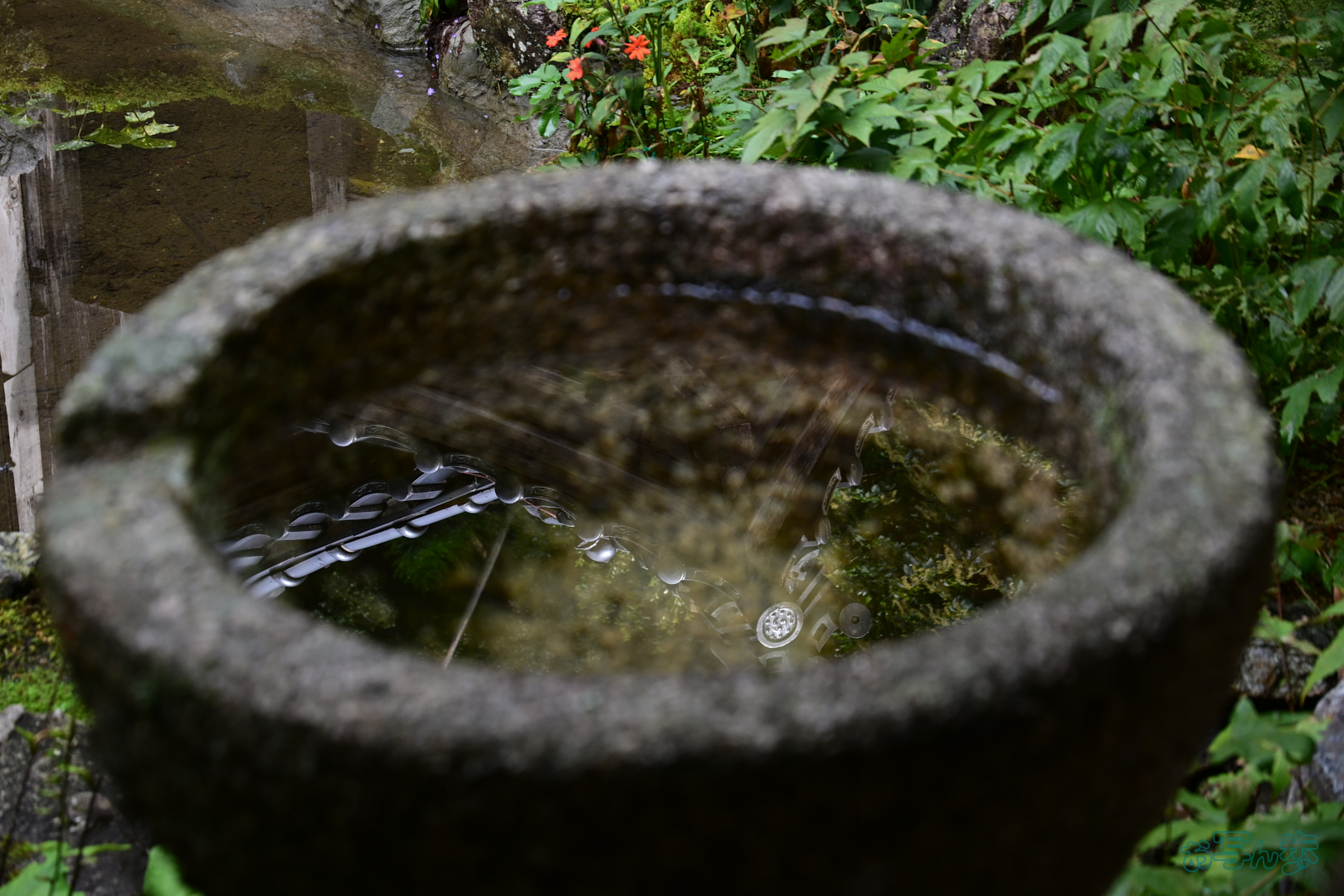 https://www.yaotomi.co.jp/blog/walk/DSC_0495%2C56%20mm%2CF5.6%2C1-200%20%E7%A7%92%2Ciso400%28JPEG%29.jpg
