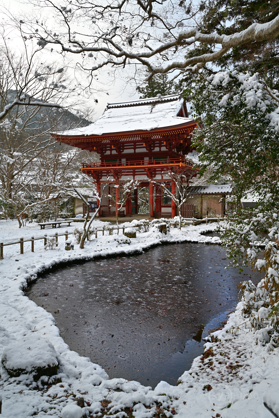 https://www.yaotomi.co.jp/blog/walk/DSC_0500%2C28%20mm%2CF9%2Ciso90%28JPEG%29%201.jpg