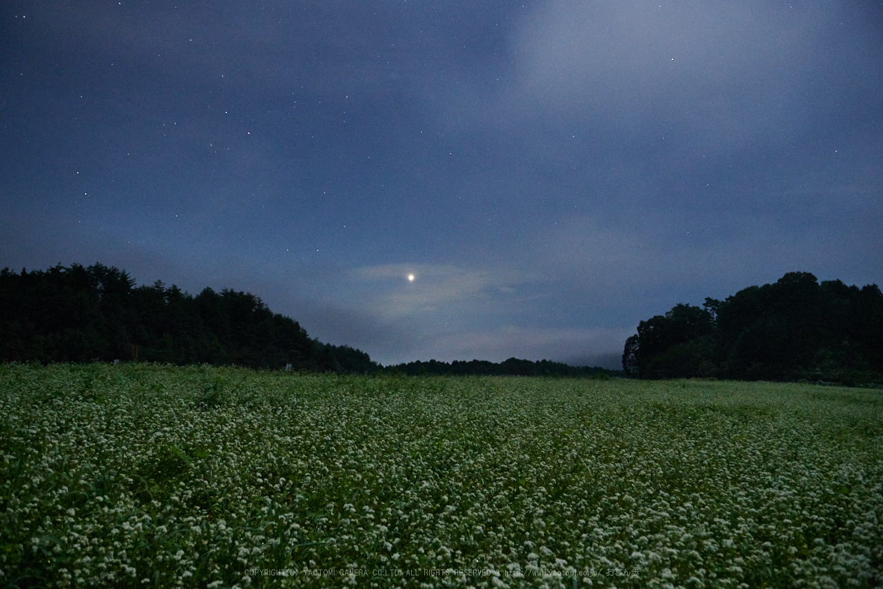 https://www.yaotomi.co.jp/blog/walk/DSC_0629%2C24%20mm%2817-09-13%29yaotomi%202.jpg