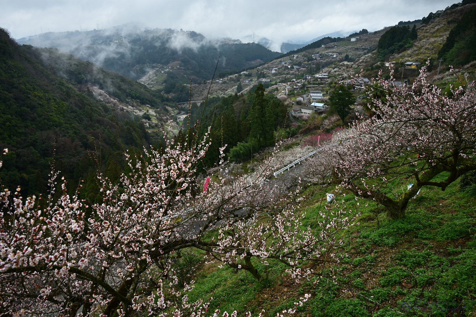 https://www.yaotomi.co.jp/blog/walk/DSC_0641%2C24%20mm%2CF10%2Ciso100.jpg