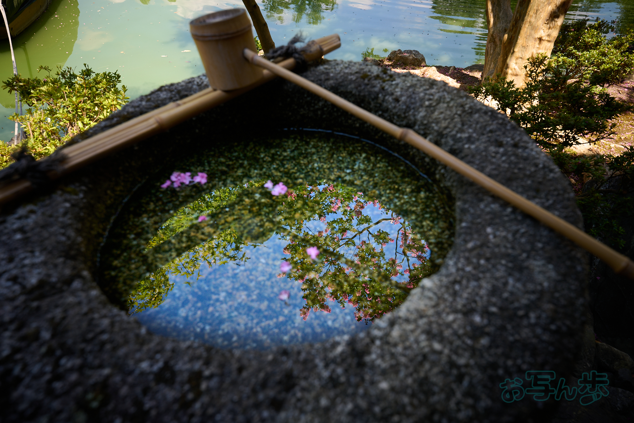 https://www.yaotomi.co.jp/blog/walk/DSC_0647co%2C22%20mm%2CF7.1%2Ciso100%28RAW%20S%29.jpg