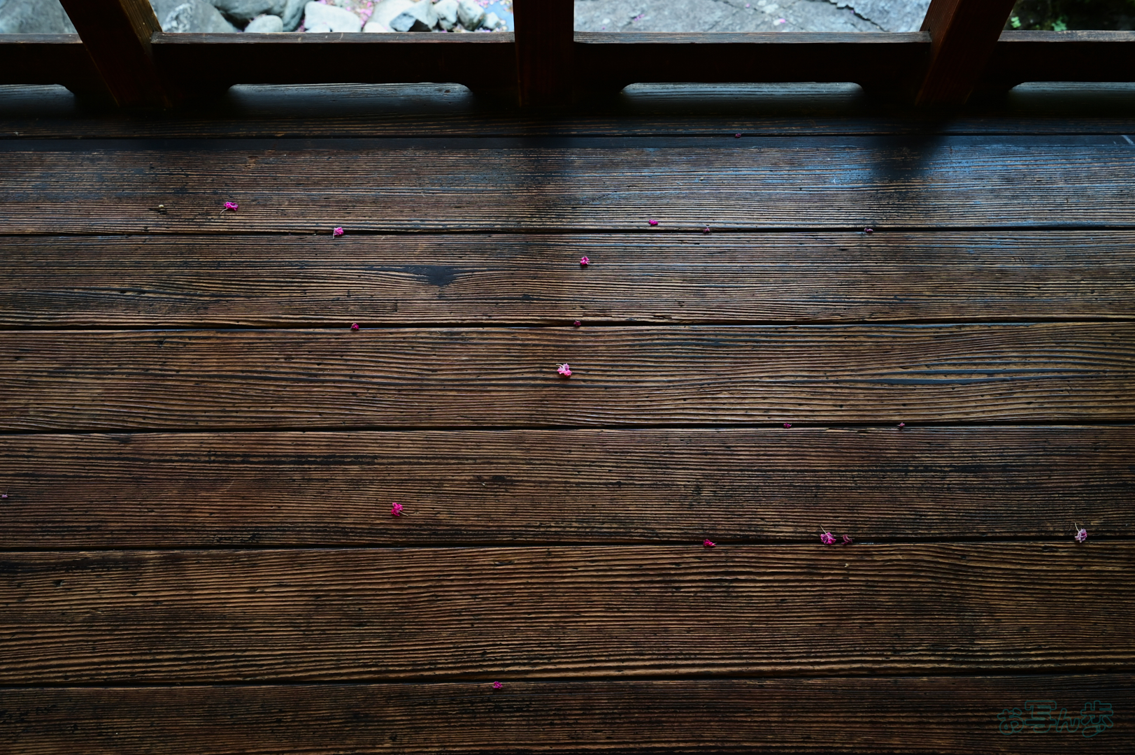 https://www.yaotomi.co.jp/blog/walk/DSC_0662%2C30%20mm%2CF7.1%2C1-30%20%E7%A7%92%2Ciso450%28JPEG%29.jpg