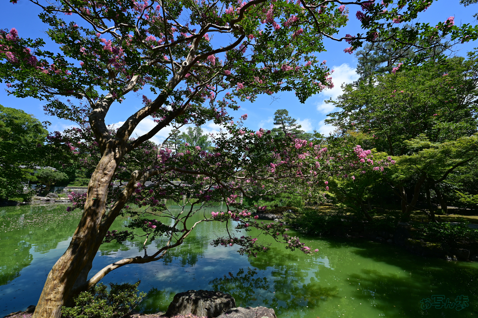 https://www.yaotomi.co.jp/blog/walk/DSC_0692%2C16%20mm%2CF7.1%2C1-250%20%E7%A7%92%2Ciso100%28JPEG%29.jpg