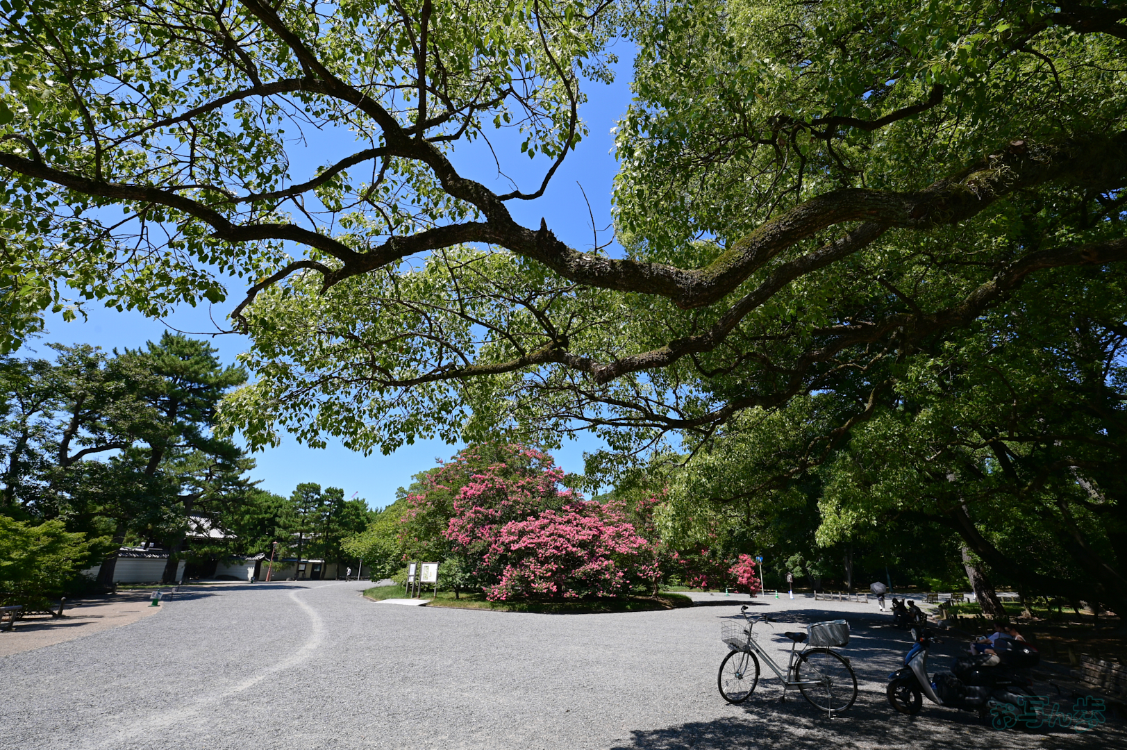 https://www.yaotomi.co.jp/blog/walk/DSC_0900%2C16%20mm%2CF10%2C1-125%20%E7%A7%92%2Ciso100%28JPEG%29.jpg