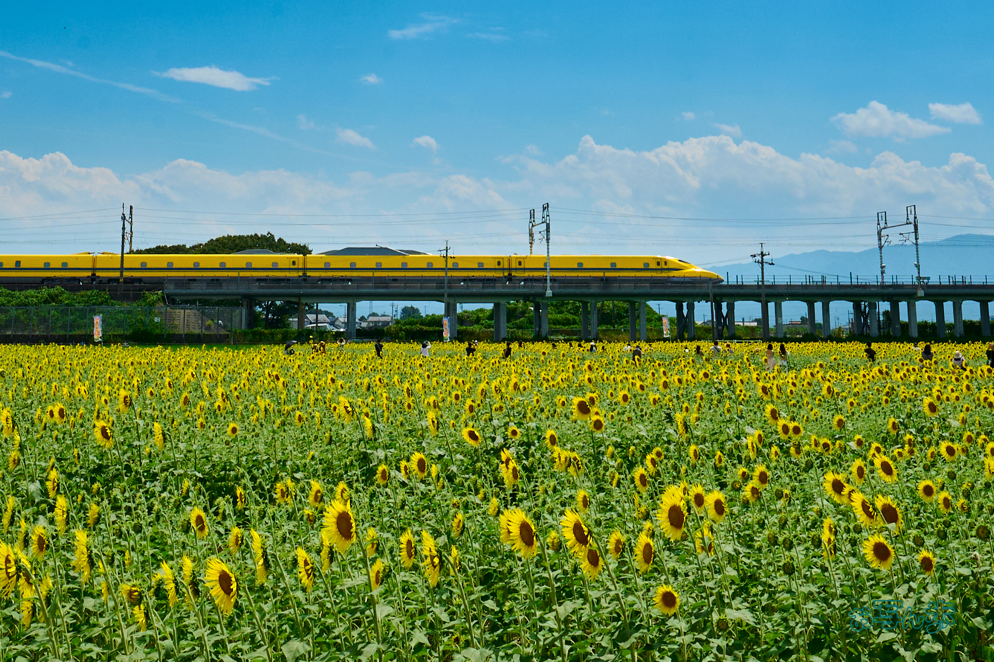 https://www.yaotomi.co.jp/blog/walk/DSC_0961co%2C26%20mm%2CF13%2Ciso800%28RAW%20S%29.jpg
