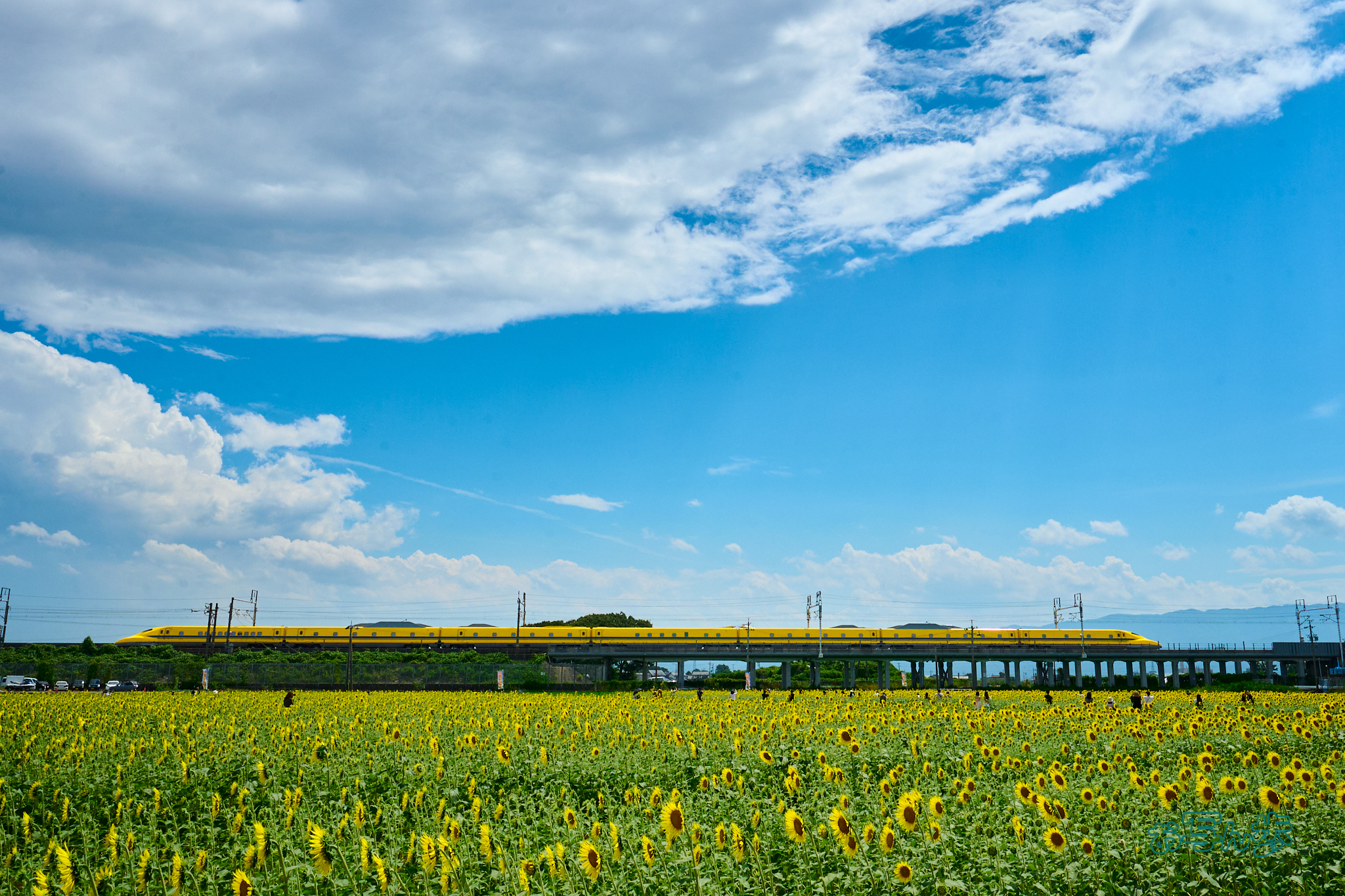 https://www.yaotomi.co.jp/blog/walk/DSC_0964co%2C26%20mm%2CF13%2Ciso800%28RAW%20S%29.jpg