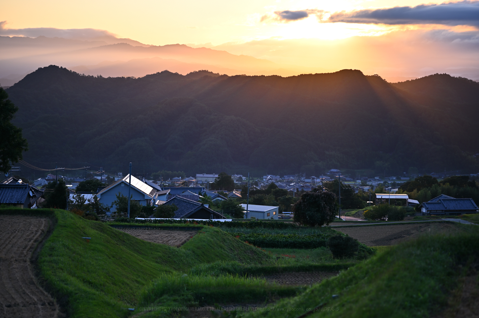 https://www.yaotomi.co.jp/blog/walk/DSC_0998_NDX%2C85%20mm%2CF1.8%2Ciso100.jpg