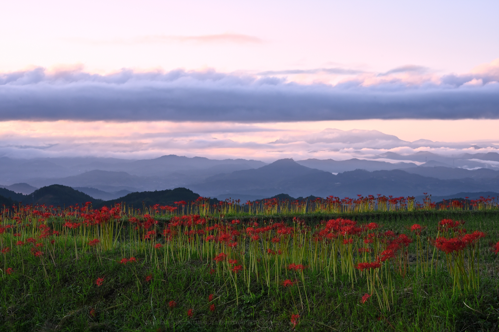 https://www.yaotomi.co.jp/blog/walk/DSC_1009_NDX%2C85%20mm%2CF14%2Ciso450.jpg