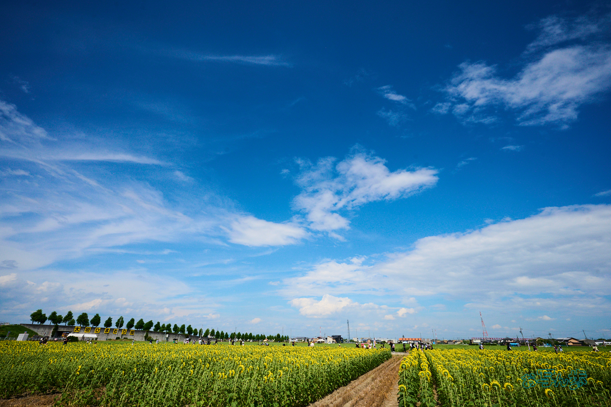 https://www.yaotomi.co.jp/blog/walk/DSC_1058co%2C16%20mm%2CF10%2Ciso800%28RAW%20S%29.jpg