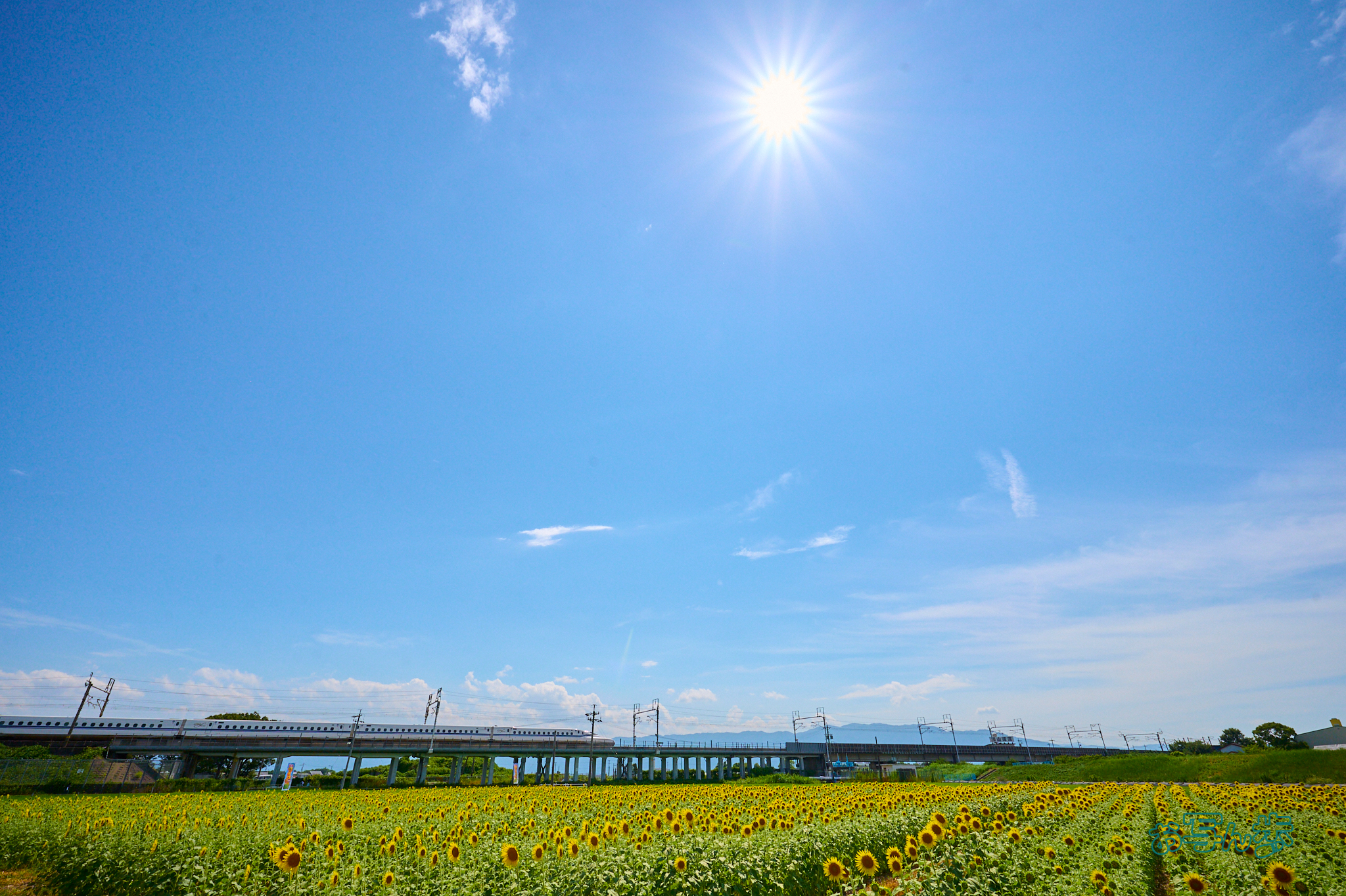 https://www.yaotomi.co.jp/blog/walk/DSC_1068co%2C16%20mm%2CF10%2Ciso800%28RAW%20S%29.jpg