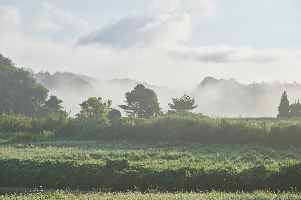 https://www.yaotomi.co.jp/blog/walk/DSC_1073%2C112%20mm%2817-09-13%29yaotomi.jpg