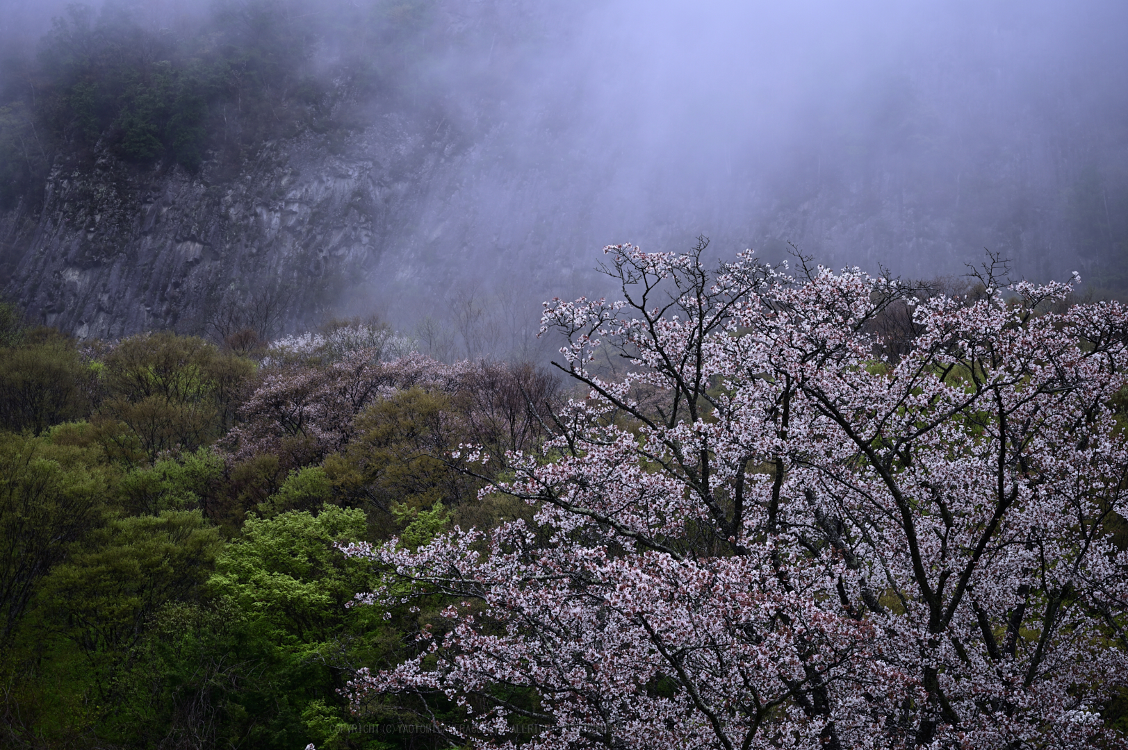 https://www.yaotomi.co.jp/blog/walk/DSC_1164_NDXko_2019yaotomi.jpg