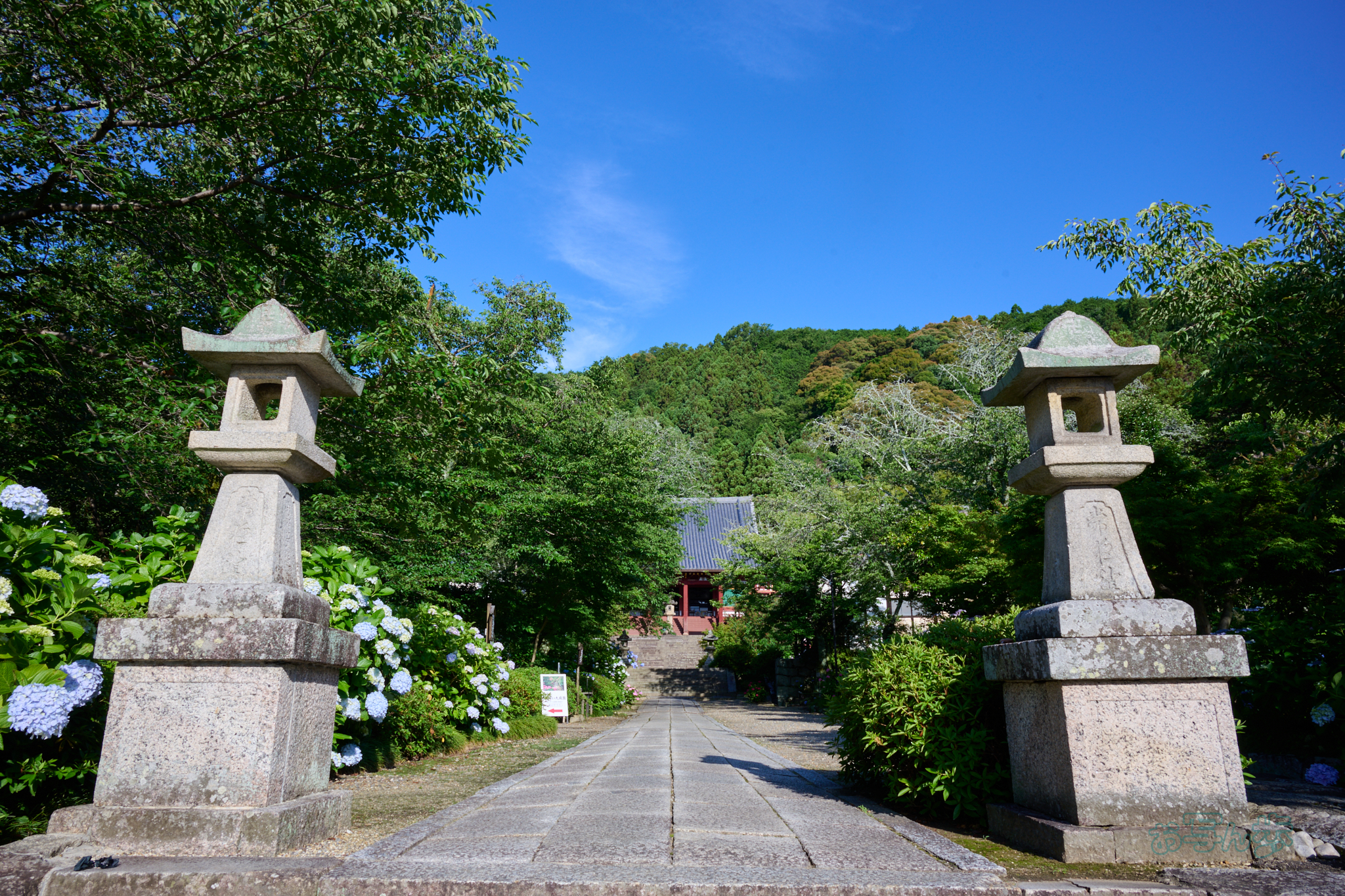https://www.yaotomi.co.jp/blog/walk/DSC_1177co%2C24%20mm%2CF13%2Ciso100%2CNIKKOR%20Z%2024-120mm%20f-4%20S.jpg