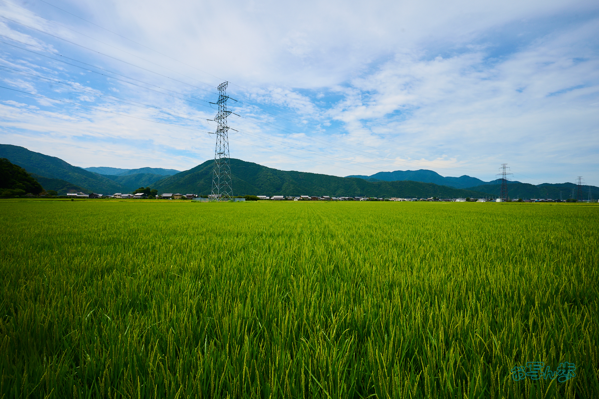 https://www.yaotomi.co.jp/blog/walk/DSC_1189co%2C16%20mm%2CF10%2Ciso100%28RAW%20S%29.jpg