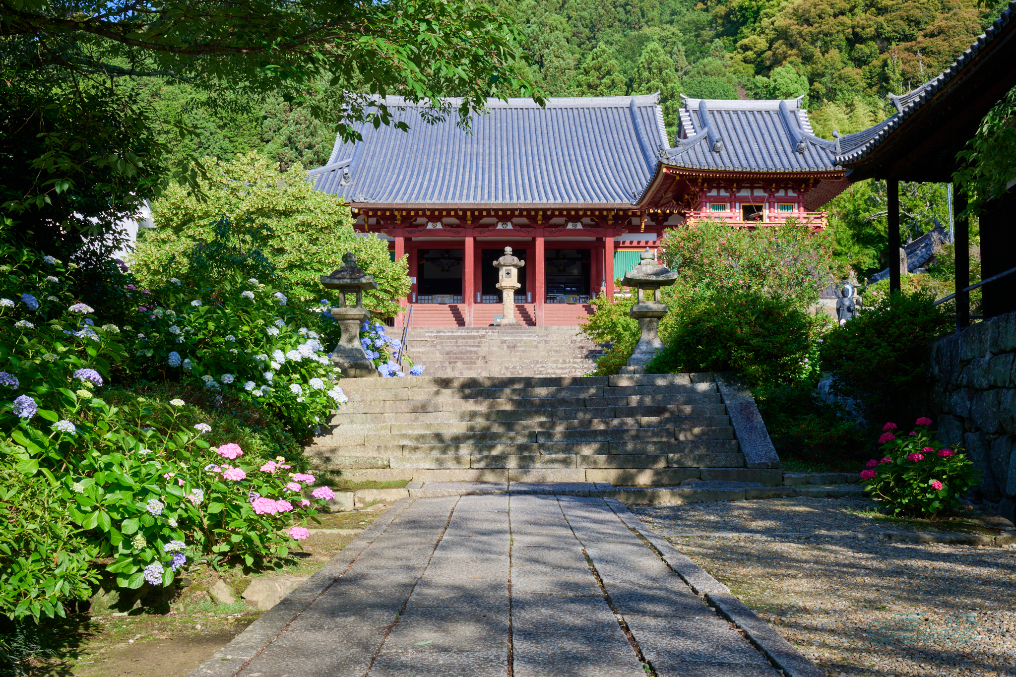 https://www.yaotomi.co.jp/blog/walk/DSC_1192co%2C38%20mm%2CF14%2Ciso100%2CNIKKOR%20Z%2024-120mm%20f-4%20S_1.jpg