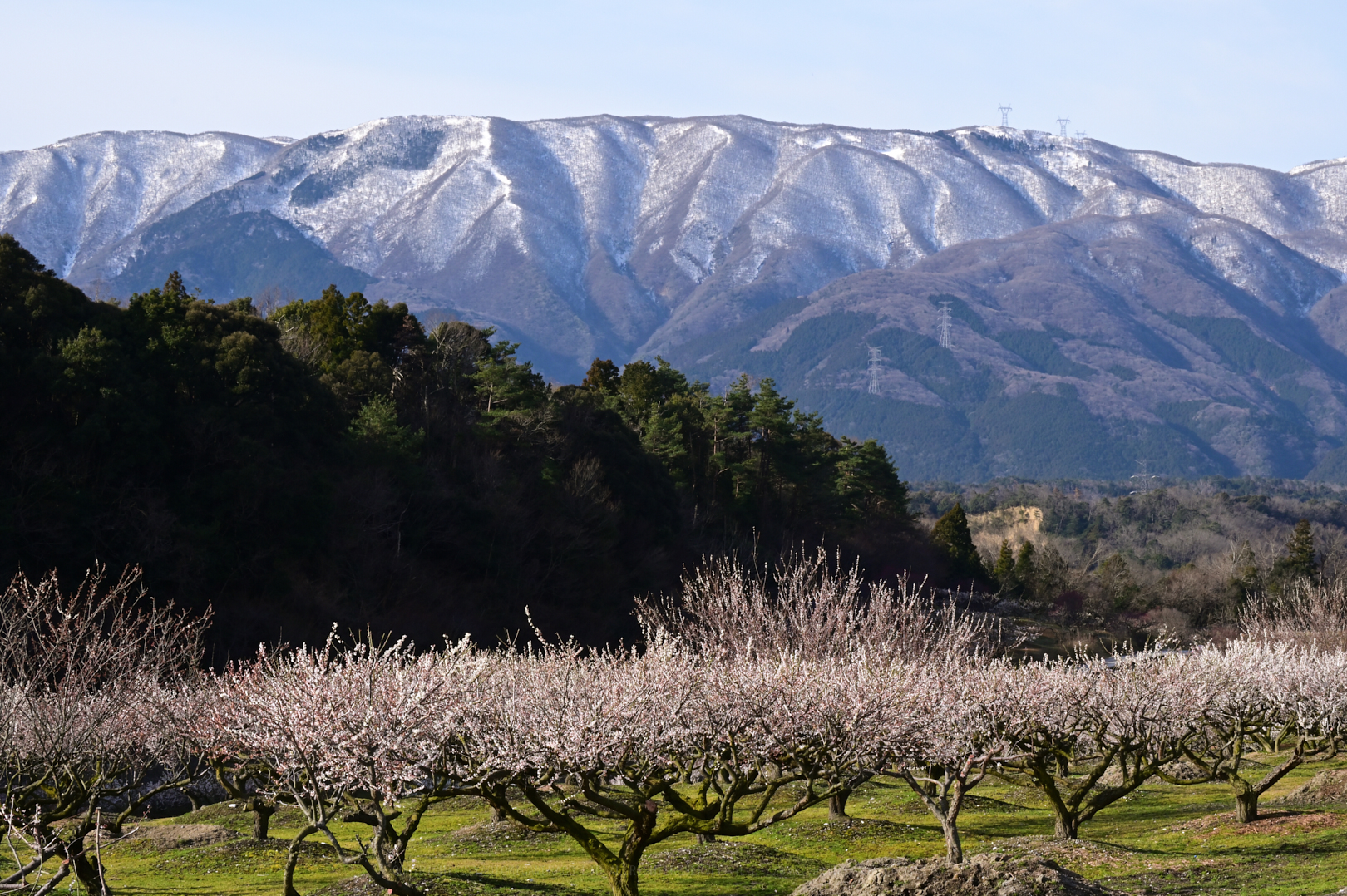 https://www.yaotomi.co.jp/blog/walk/DSC_1203_NDX%20%282%29_2020yaotomi.jpg