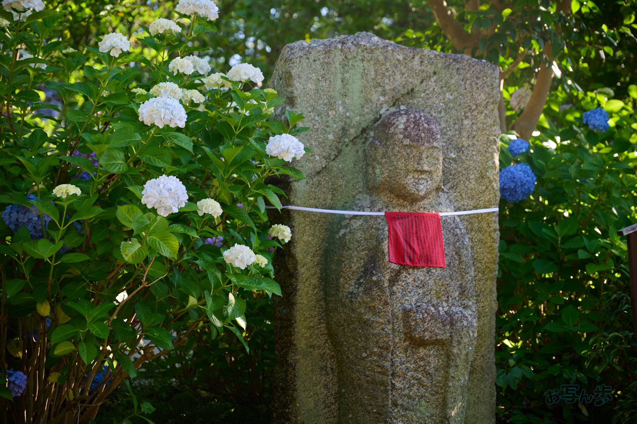 https://www.yaotomi.co.jp/blog/walk/DSC_1204co%2C96%20mm%2CF4%2Ciso125%2CNIKKOR%20Z%2024-120mm%20f-4%20S.jpg