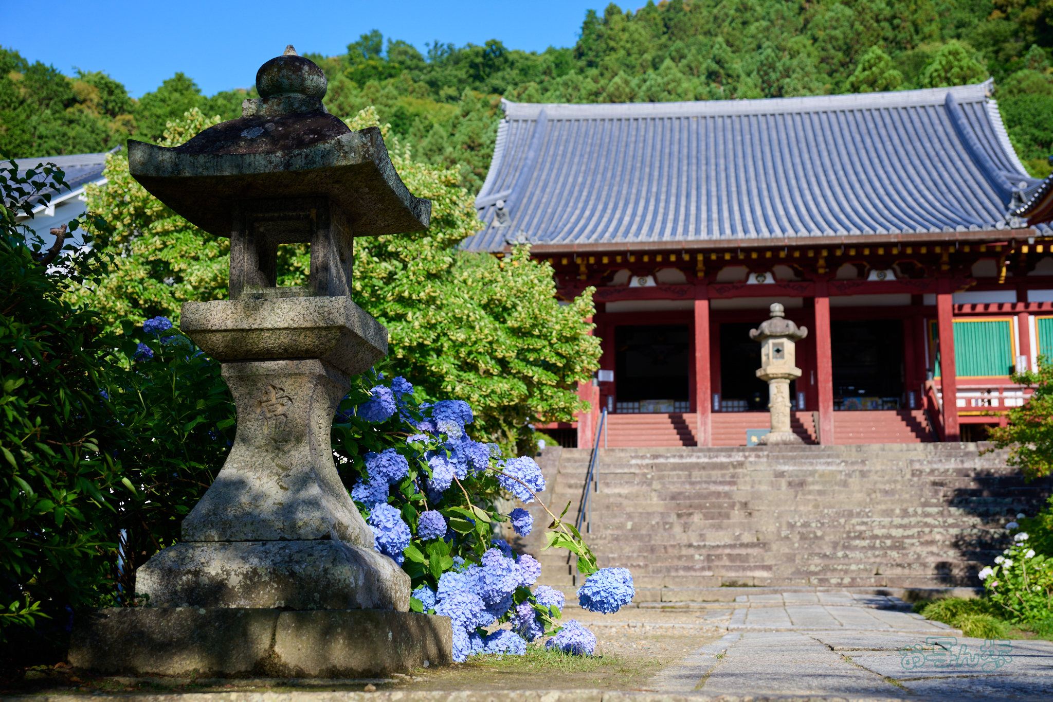https://www.yaotomi.co.jp/blog/walk/DSC_1210co%2C45%20mm%2CF4%2Ciso100%2CNIKKOR%20Z%2024-120mm%20f-4%20S.jpg
