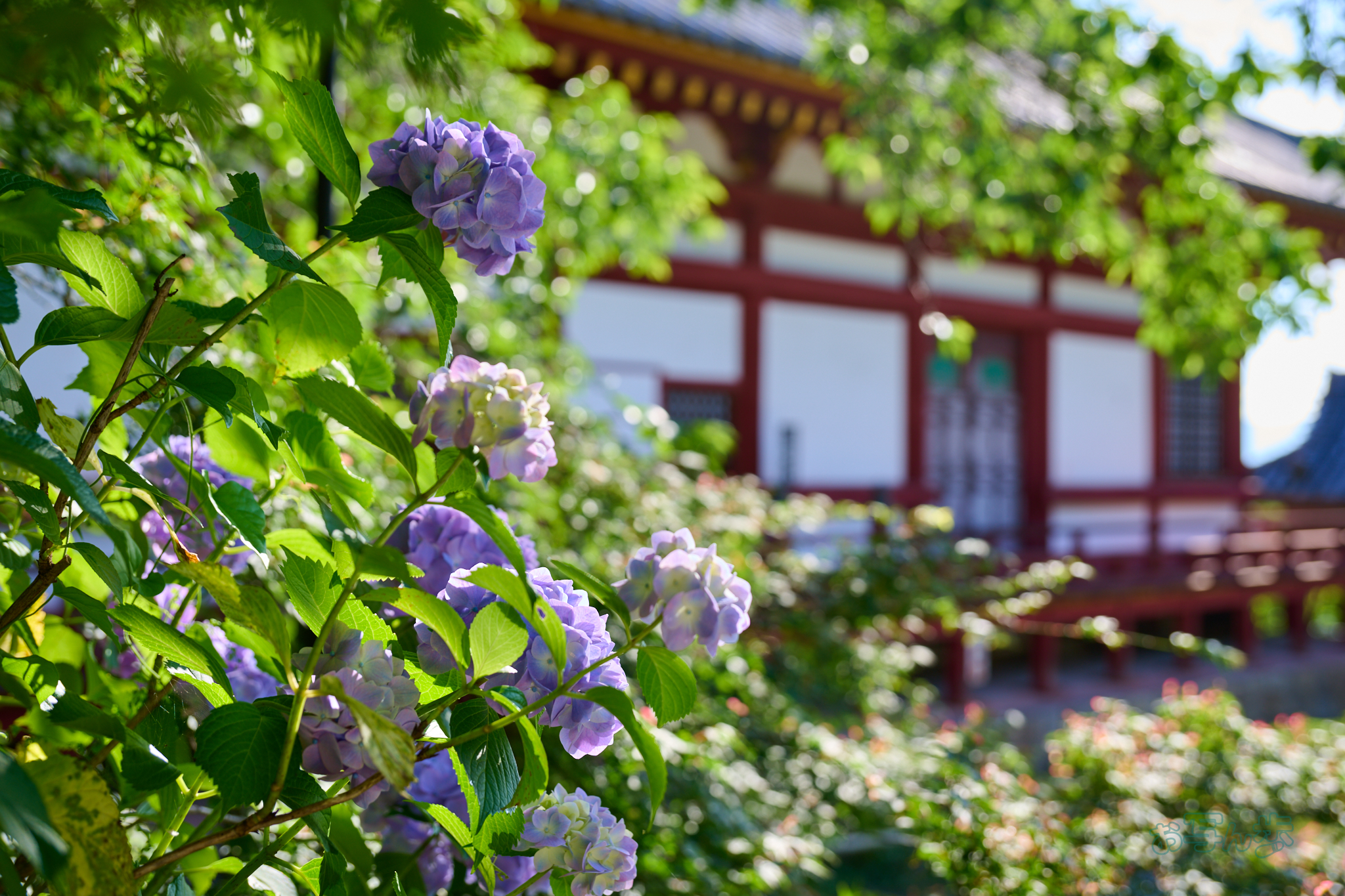 https://www.yaotomi.co.jp/blog/walk/DSC_1240co%2C50%20mm%2CF4%2Ciso100%2CNIKKOR%20Z%2024-120mm%20f-4%20S.jpg
