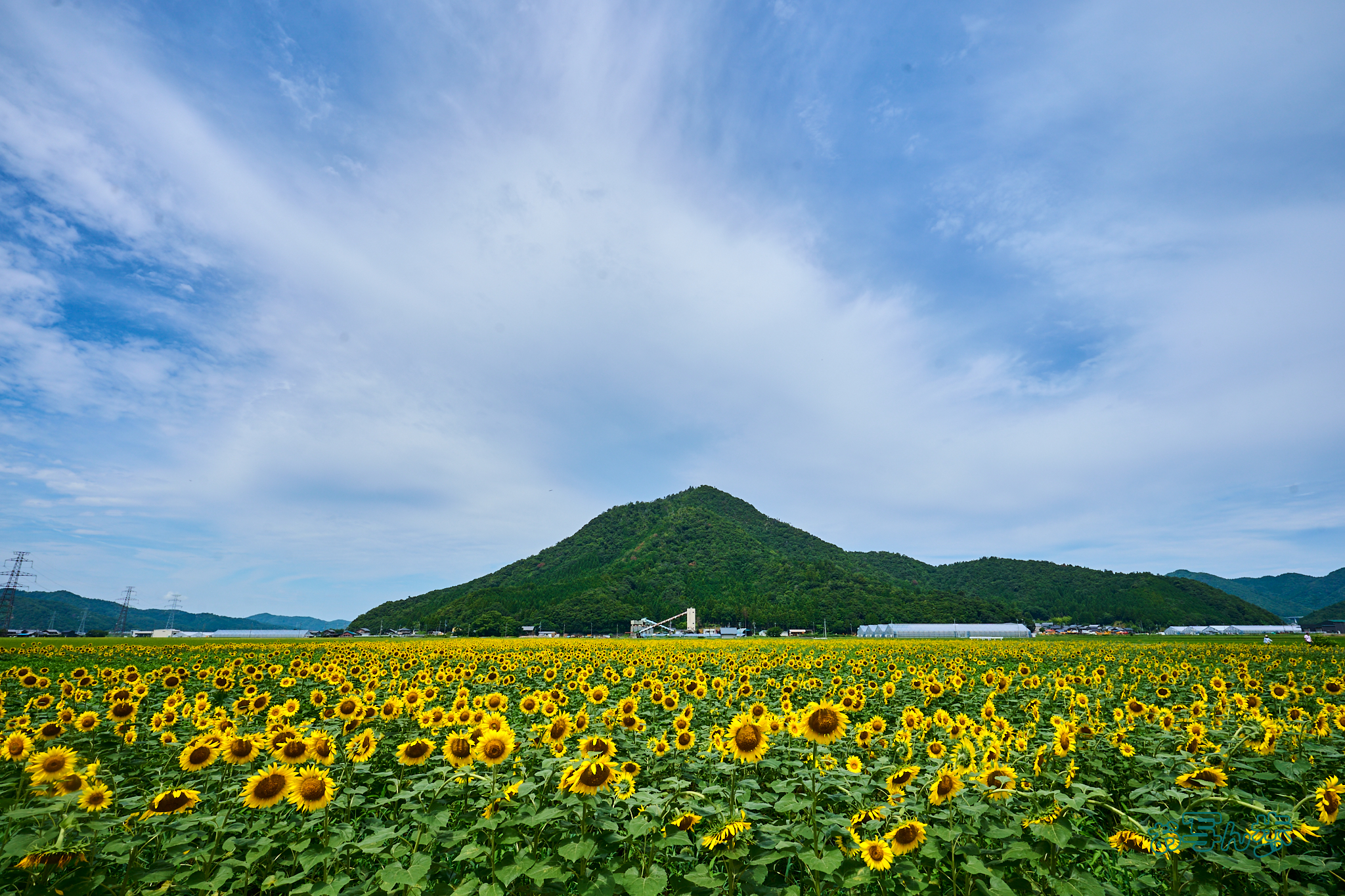 https://www.yaotomi.co.jp/blog/walk/DSC_1389co%2C16%20mm%2CF10%2Ciso100%28RAW%20S%29.jpg