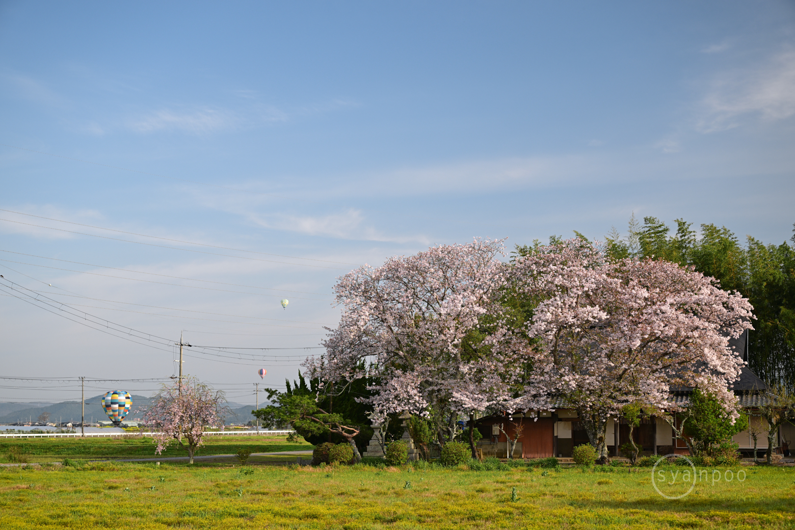 https://www.yaotomi.co.jp/blog/walk/DSC_1532%2C61%20mm%2CF5%2Ciso100%28JPEG%29.jpg