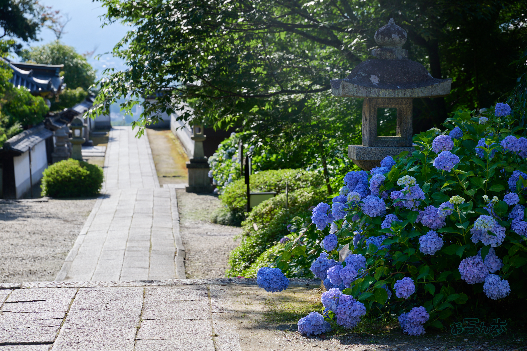 https://www.yaotomi.co.jp/blog/walk/DSC_1548co%2C120%20mm%2CF8%2Ciso100%2CNIKKOR%20Z%2024-120mm%20f-4%20S.jpg