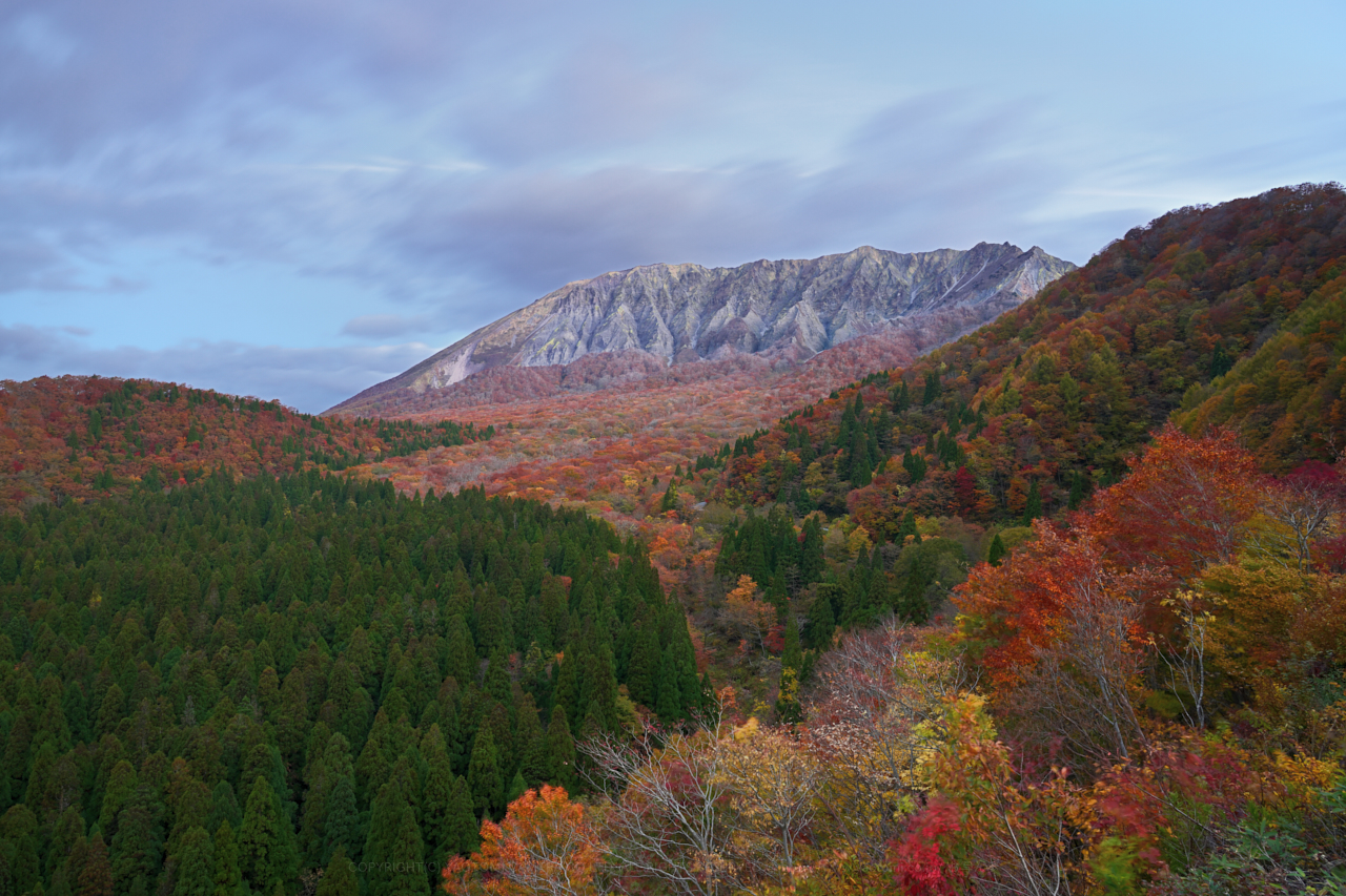 https://www.yaotomi.co.jp/blog/walk/DSC_1550NDX_01%2C24%20mm%2CF8_iso100_2018yaotomi.jpg