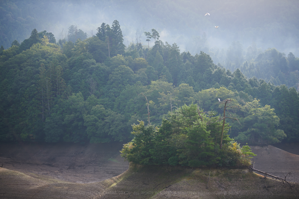 https://www.yaotomi.co.jp/blog/walk/DSC_1556%2C70%20mm%2817-09-30%29yaotomi.jpg