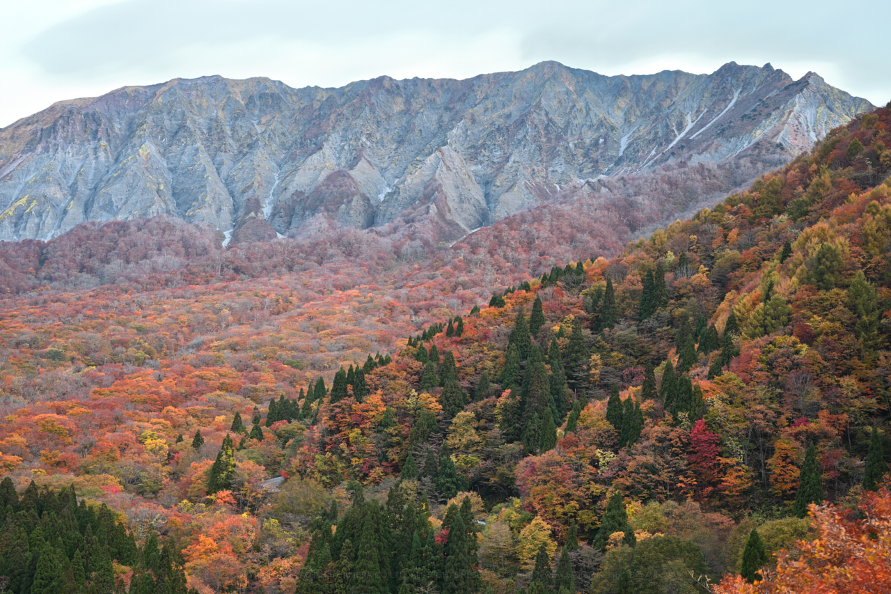 https://www.yaotomi.co.jp/blog/walk/DSC_1558NDX%20%282%29%2C56%20mm%2CF9_iso100_2018yaotomi.jpg