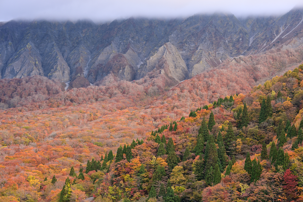 https://www.yaotomi.co.jp/blog/walk/DSC_1575NDX%20%282%29%2C80%20mm%2CF9_iso100_2018yaotomi.jpg