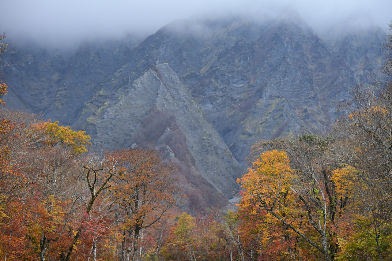 https://www.yaotomi.co.jp/blog/walk/DSC_1647NX-D%2C160%20mm%2CF6.3_iso220_2018yaotomi.jpg